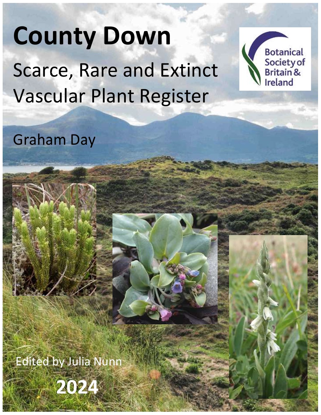 RPR 2024 Screenshot 2024-12-12 092444