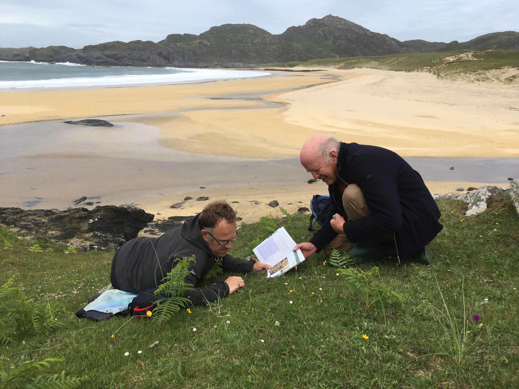 Kevin Walker and David Pearman road-test the new Euphrasia Handbook during a recording trip on Colonsay, June 2018 Image: Pete Stroh