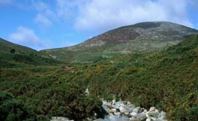 Mountains of Mourne